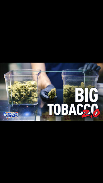 Marijuana Legalization: Big Win or Big Mistake? Colorado 10 Years Later | Trailer