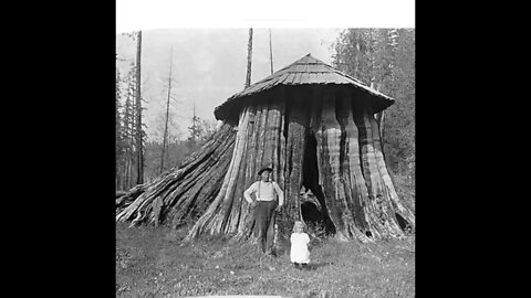 1800 TREE 🌳 HOUSES NEW MANDELA EFFECT FOR ME