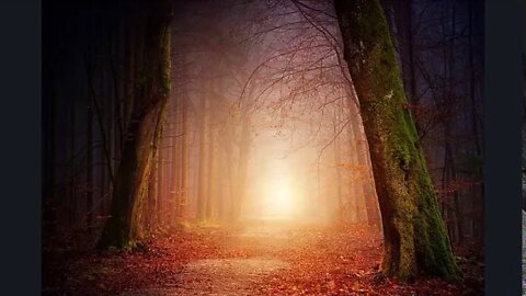 Lights - Patrick Patrikios (Royalty Free Music)