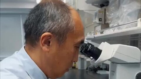 Japanese research team has developed a drug that can regrow human teeth