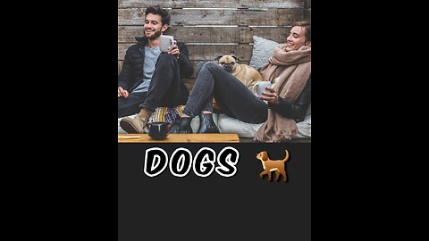 Dogs 🐕 loyalty 💪 💙