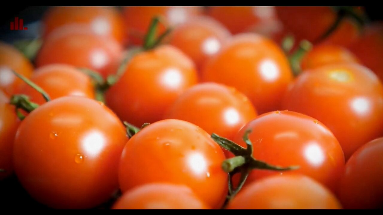 Major Essential Food Items will disappear from storehouses