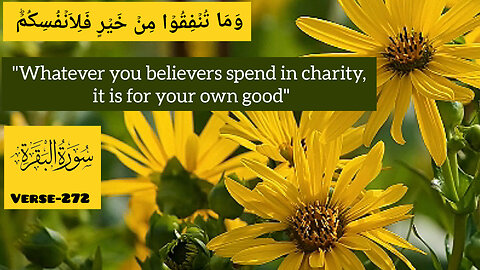 Surah Al Baqarah, Verse-272💕