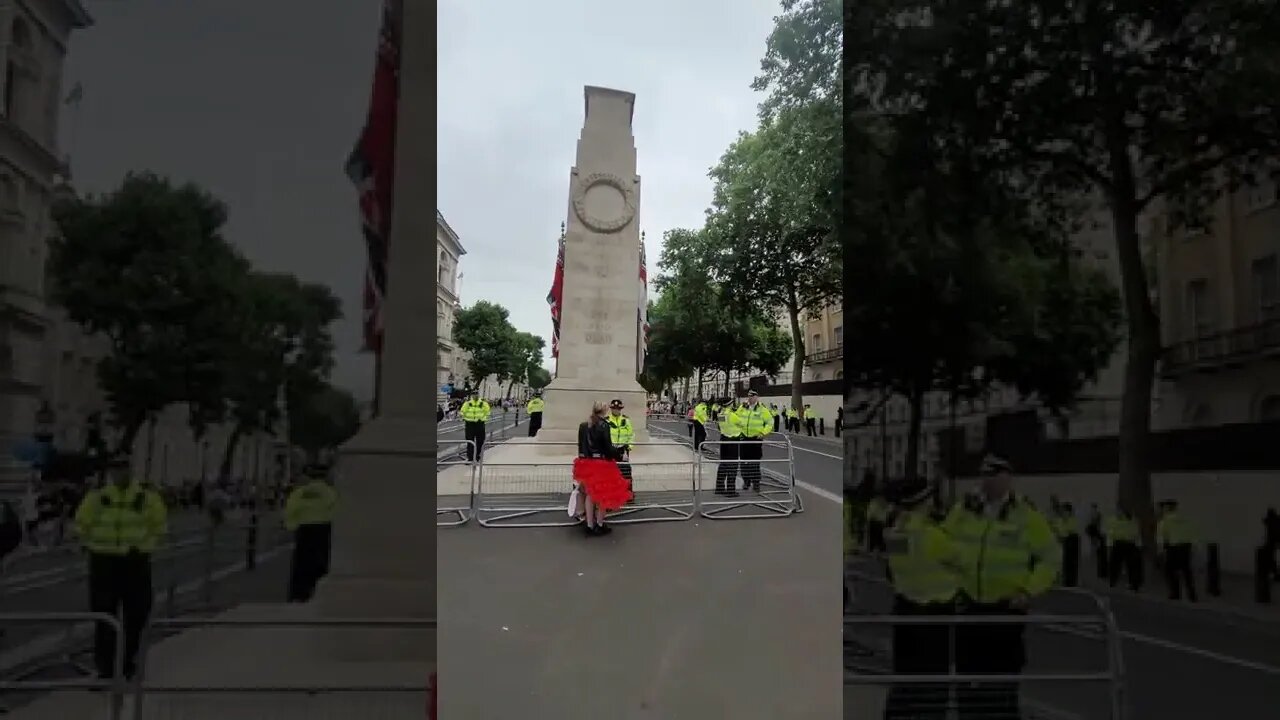 police protect the cenotaph at union works protest london #metpolice