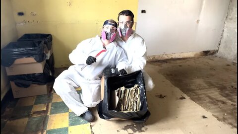 ASBESTOS Floor GONE, Ready for First Electrical Inspection, TREE HOUSE Update, & A Bee Swarm!