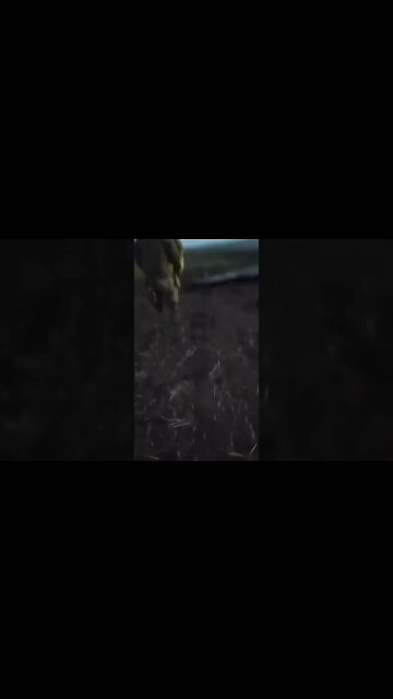 Breaking News As It Happens. **Warning** **Graphic Content** Viewer Discretion Advised 18+ #shorts