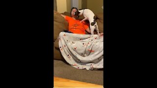 Princess cleans Noah’s face