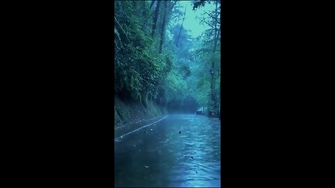 Relaxing Rain & Thunder Sound