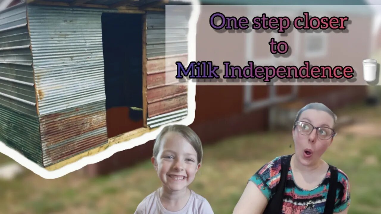 Goat Shelter of Many Colors #foodsecurity