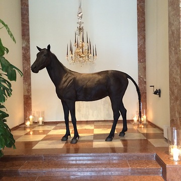 Visiting Vienna, Austria: Touring the Grand Ferdinand Hotel