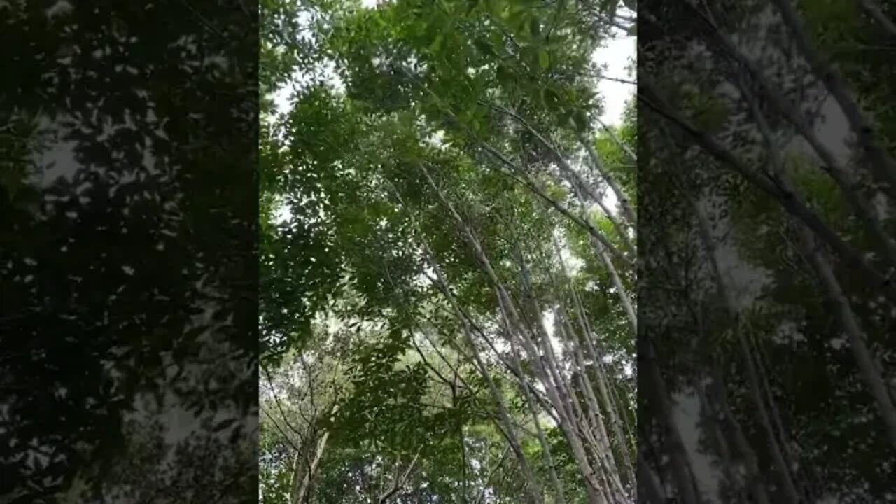 😍
