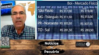 Boi gordo pressionado pelo dólar e escalas de abate alongadas