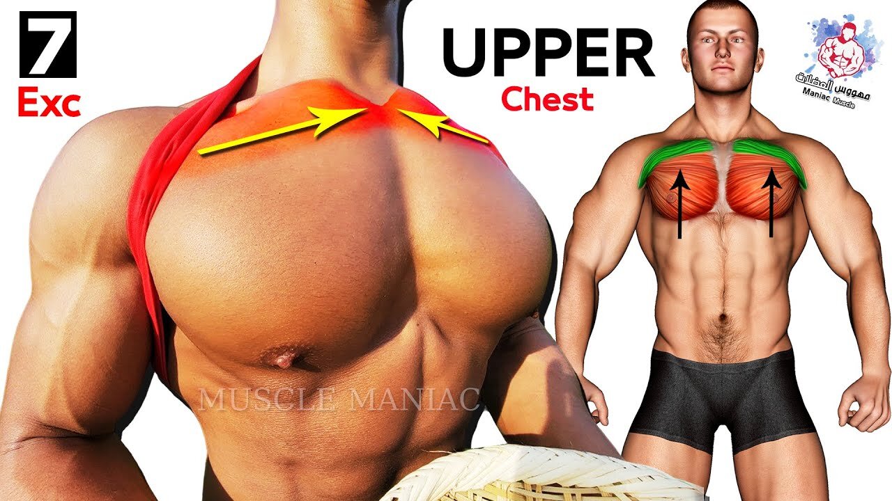 THE BEST EXERCISE UPPER CHEST ARE EFFECTIVE AND FAST