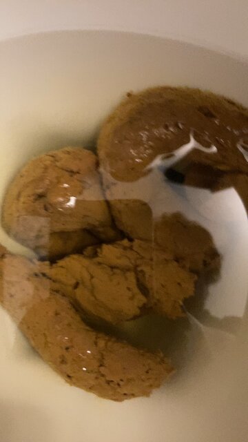 A better President than Joe Biden! 💩