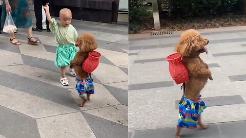 POV: Golden retriever puppy is your Playing with kids.🤔🤔🤔