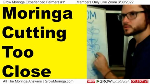 Moringa Cutting Too Close