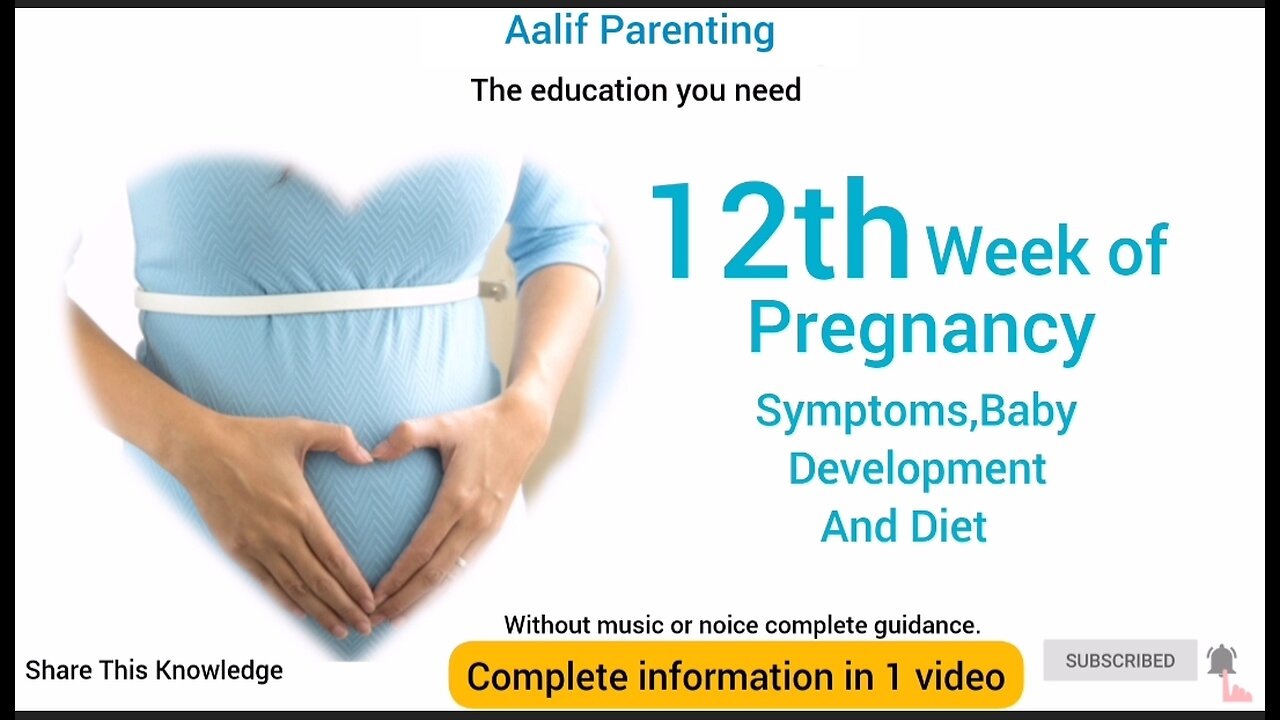 Twelfth week of pregnancy.What to expect?Complete possible knowledge in 1 video #pregnant #pregnancy