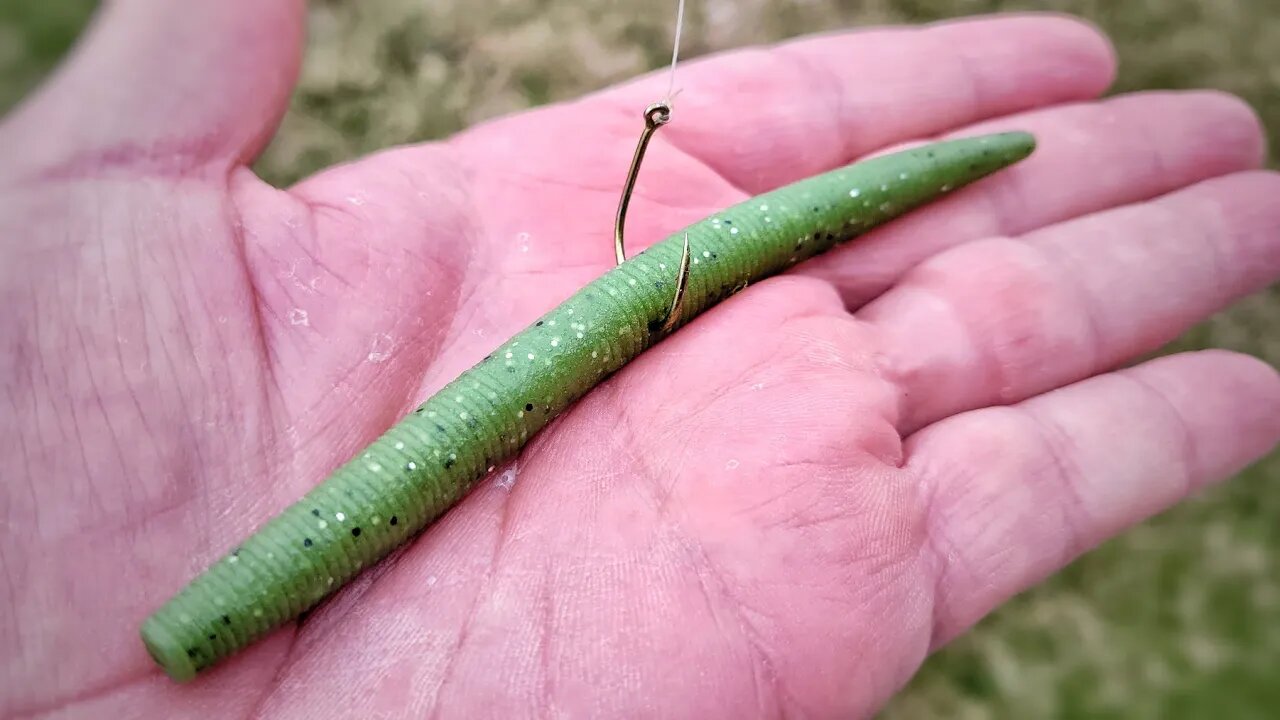 This Bait Saved my Bass Fishing trip