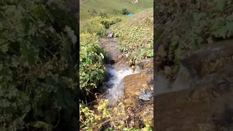 ŞU SESİN GÜZELLİĞİNE BAK!