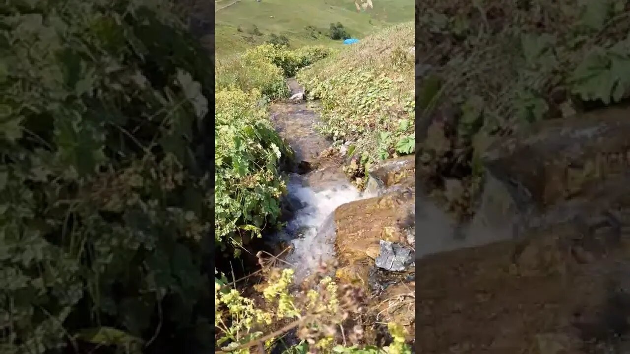 ŞU SESİN GÜZELLİĞİNE BAK!