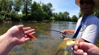 Upper Rappahannock River Summer Smallmouth Fishing with Friends!