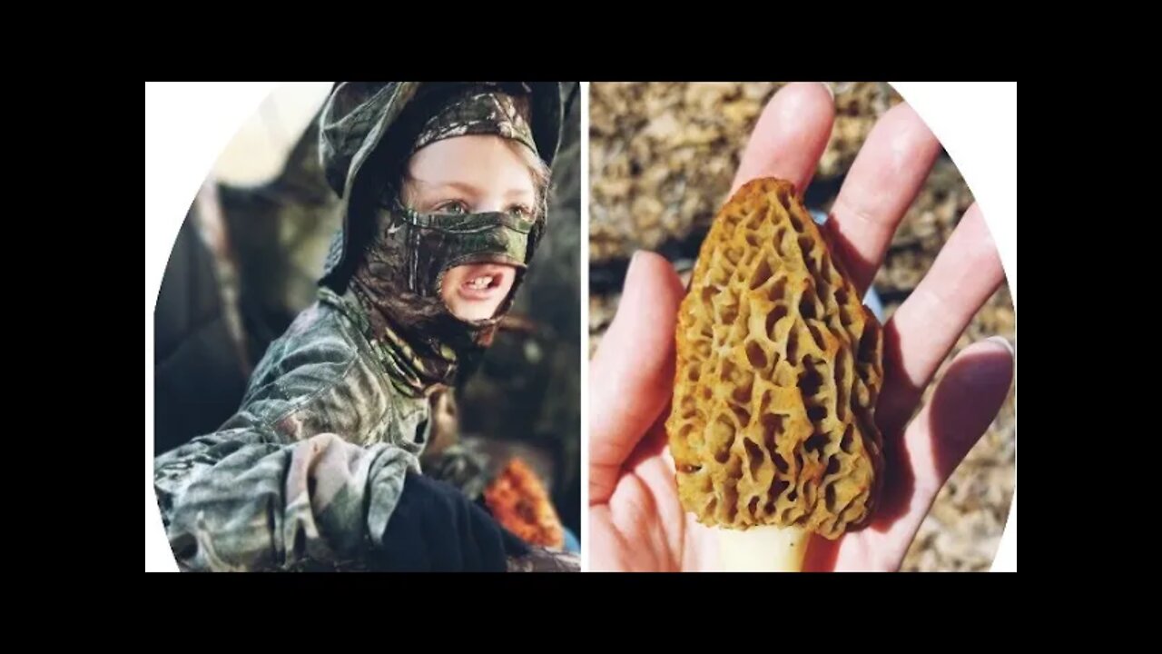 Spring fun and a little DANGER too. turkey hunting, morels, and snakes too.