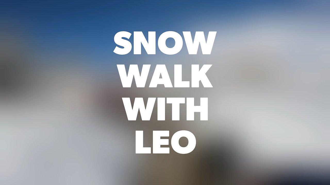 Snow walk with leo