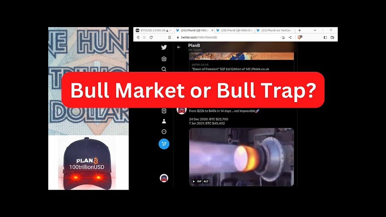 PlanB Bull Market or Bull Trap?