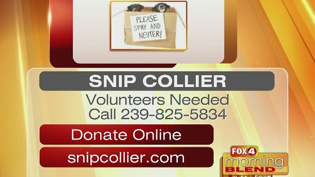 Snip Collier 1/10/17