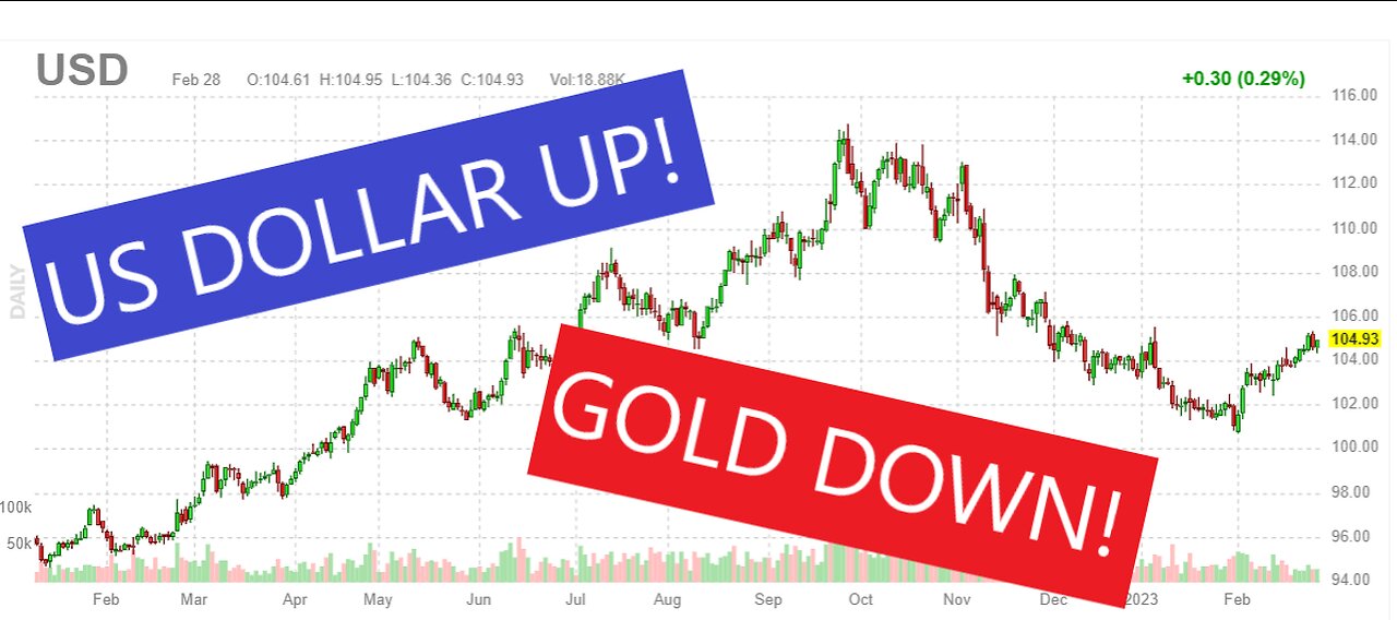 US Dollar going UP! Gold DOWN! Trading Tutorial - Monthly Copy Trading Report