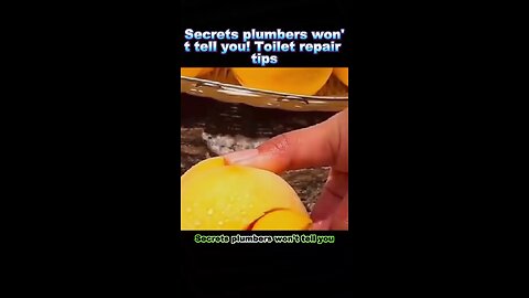 toilet tip Repair