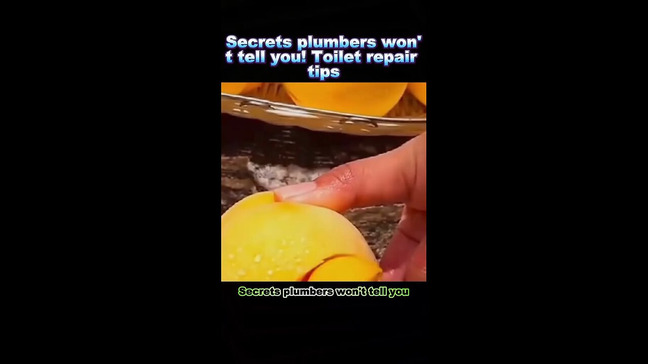 toilet tip Repair