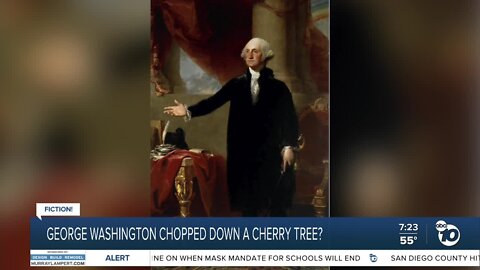 Fact or Fiction: George Washington chopped tree?