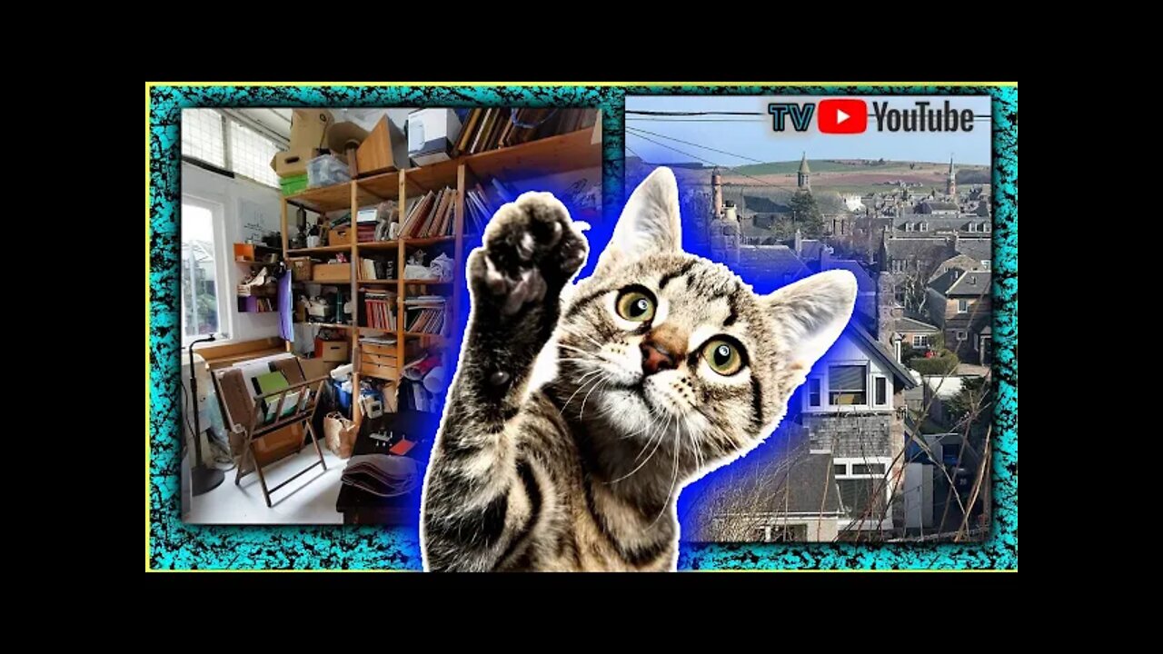 🐱Eu DÚVIDO Você Achar os GATOS nas FOTOS ! #youtube #gatos #fotos