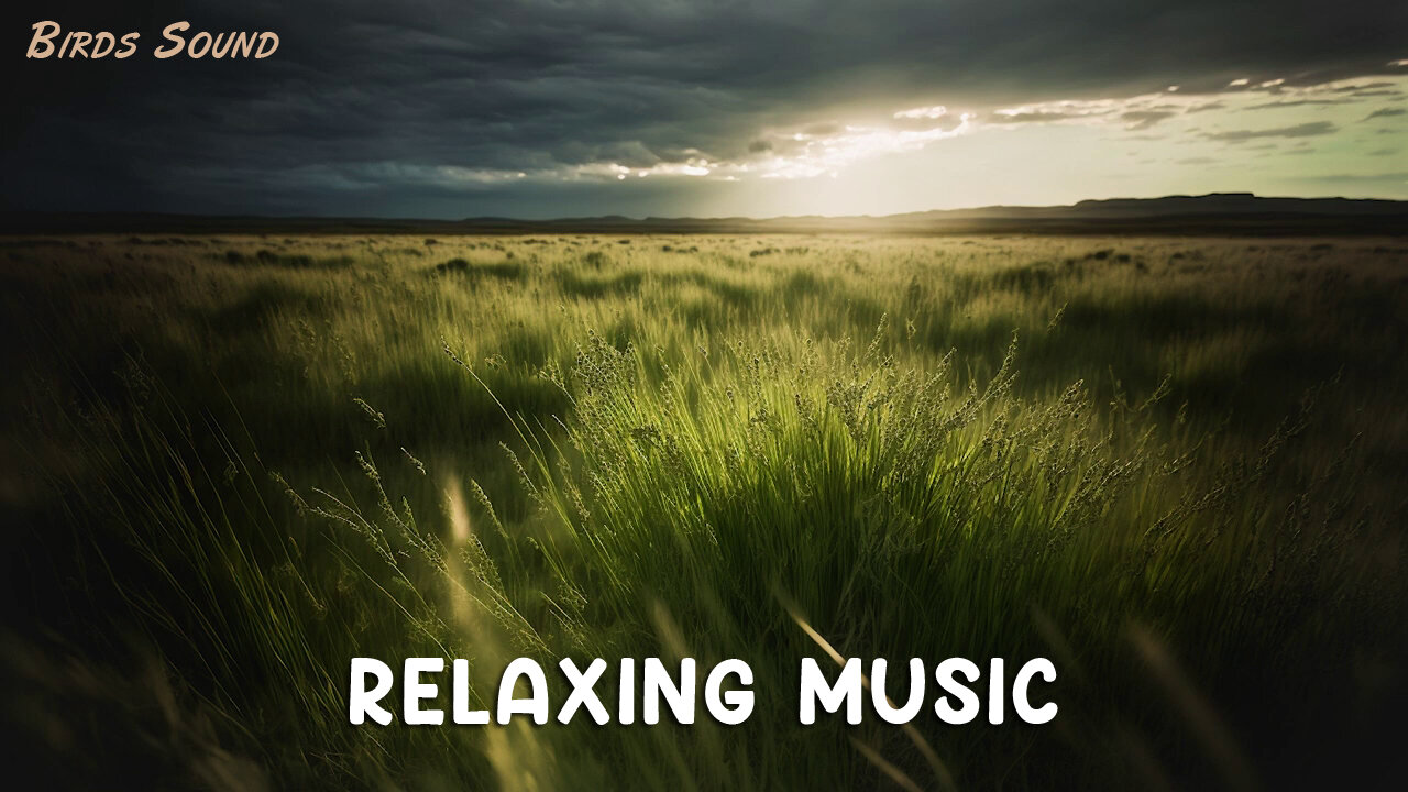 Peaceful Calming Sounds, Relaxing Music for Stress Reduction, Meditation, and Sleep, Work, Study