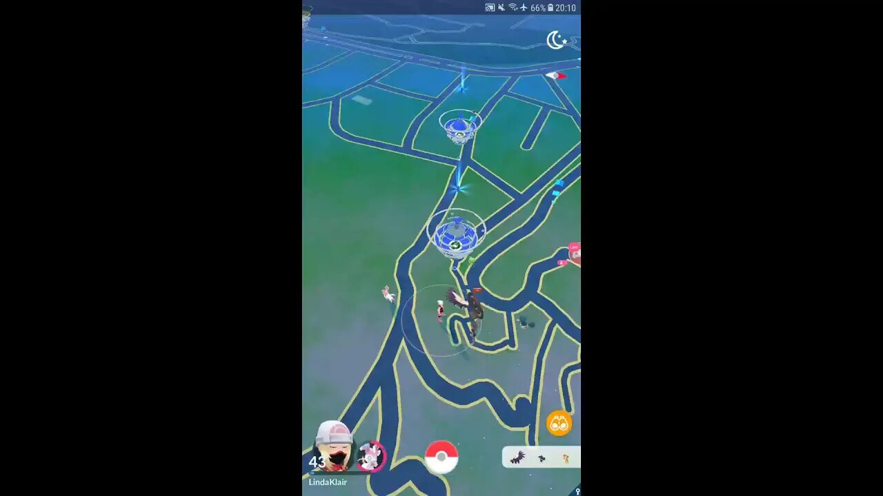 Live Pokémon GO