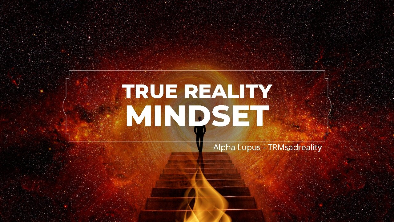 ( TRM ) - Mindset TRMsadreality