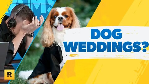 Ramsey Show Reacts To This New Trend: Dog Weddings