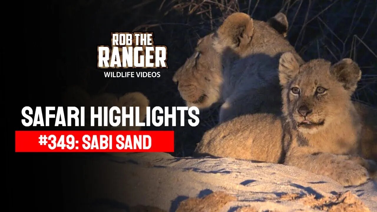 Safari Highlights #349: 02 - 07 July 2015 | Sabi Sand Nature Reserve | Latest Wildlife Sightings