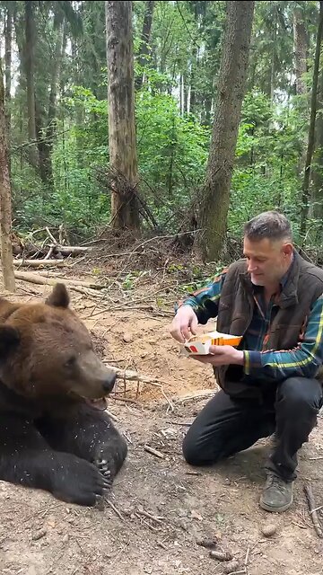 I guess the bear wanted KFC and not McDonalds 🐻