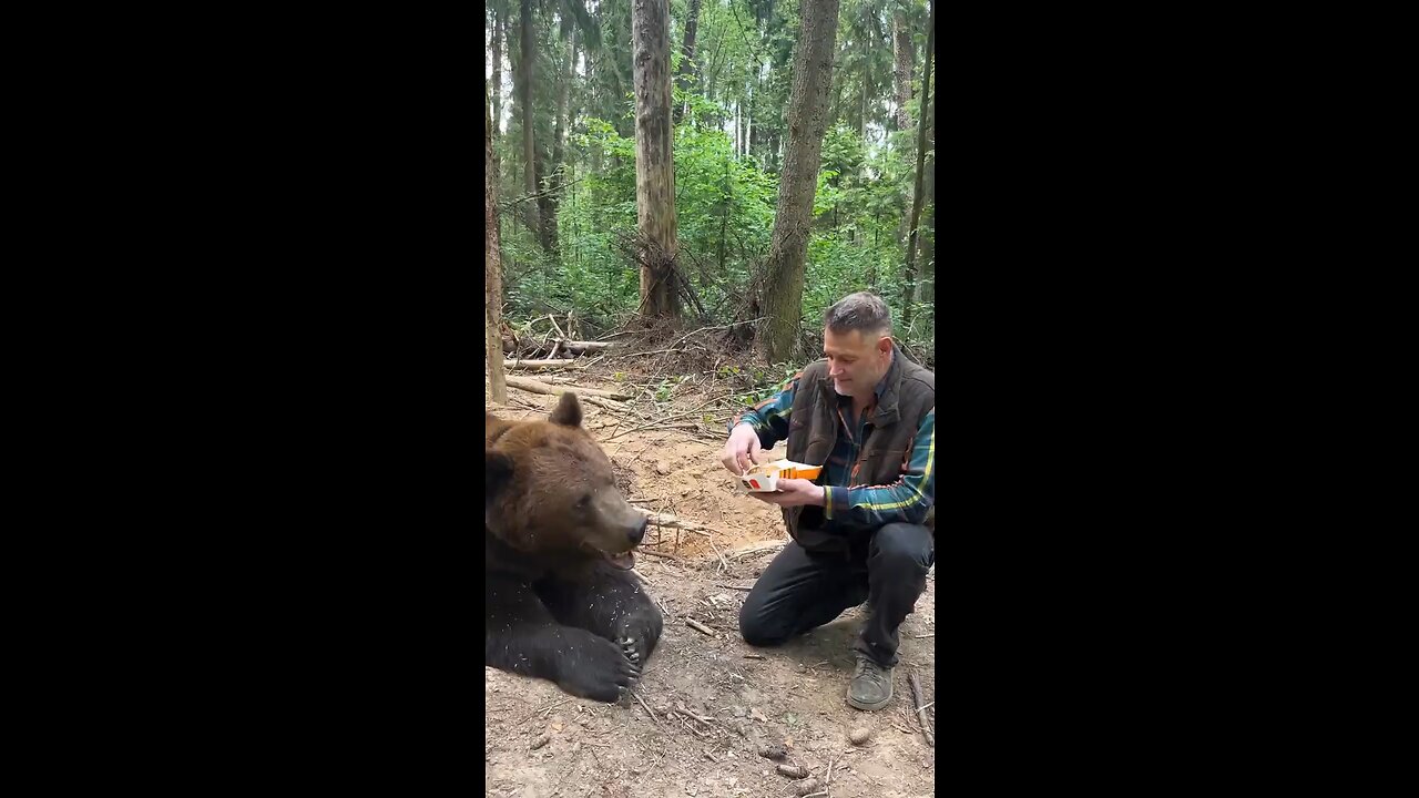 I guess the bear wanted KFC and not McDonalds 🐻