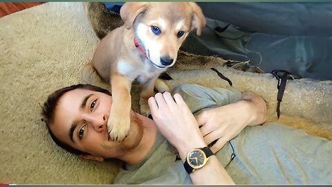 He is mine! | FUNNIEST Dog and Human 🤣