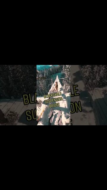 Living the winter life in Alberta, Canada. 🤩🦮 How cool is this? 📍#shorts