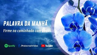 Palavra da Manhã 10 Nov - Firme na caminhada com Deus