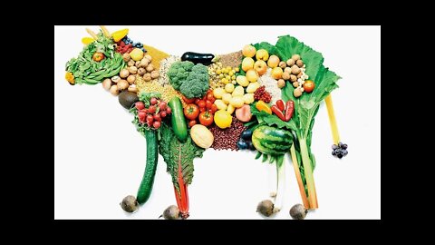 무엇을 먹을 것인가, 콜린 캠벨, 토마스캠벨, 단백질오해, 암, 칼 보이트, 좋은영양소, 지방, 알콜, 유제품, 영양제, 건강보조식품, 암, 심장병, 당뇨병, 육류, 가금류, 생선