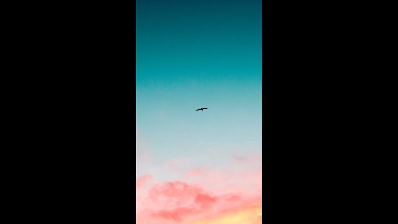 Meditations for your busy lifestyle