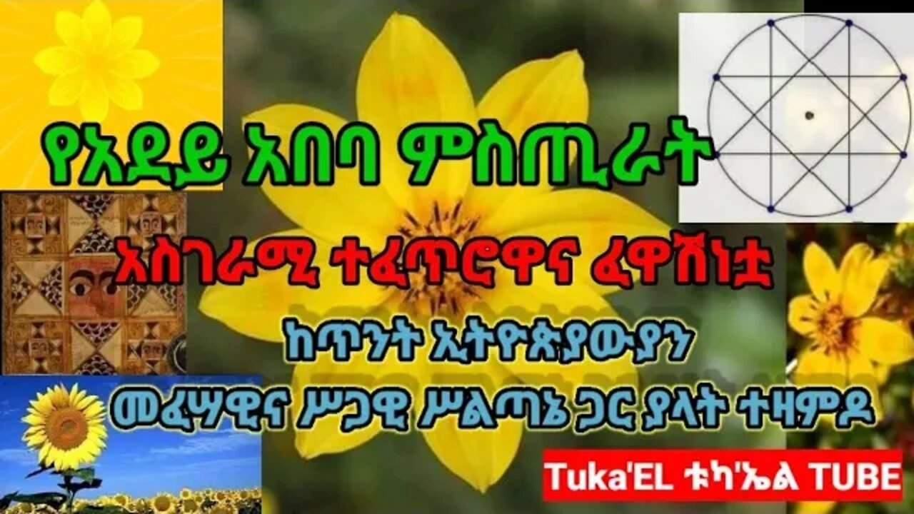 የአደይ አበባ ምስጢራት | አስገራሚ ተፈጥሮዋ| ፈዋሽነቷ | ከጥንት ኢትዮጵያውያን መፈሣዊና ሥጋዊ ሥልጣኔ ጋር ያላት ተዛምዶ