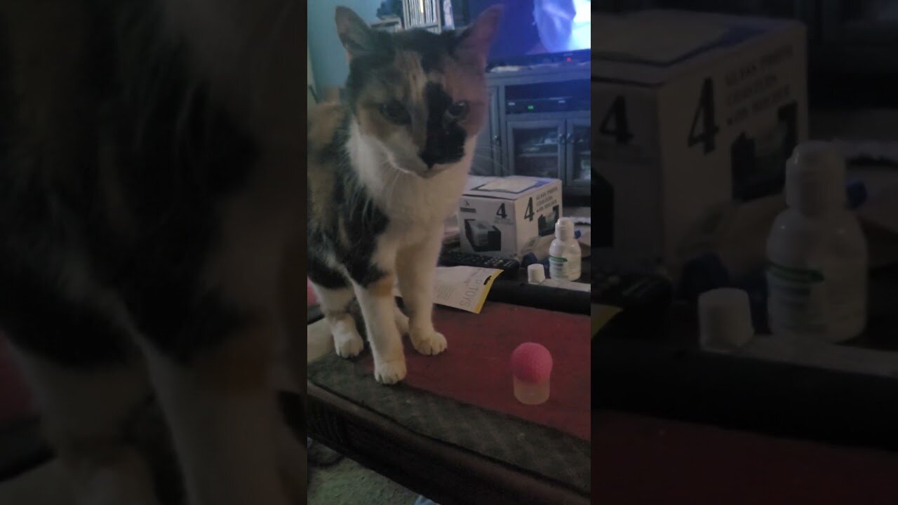 The baby plays with a ball placed on the lid.