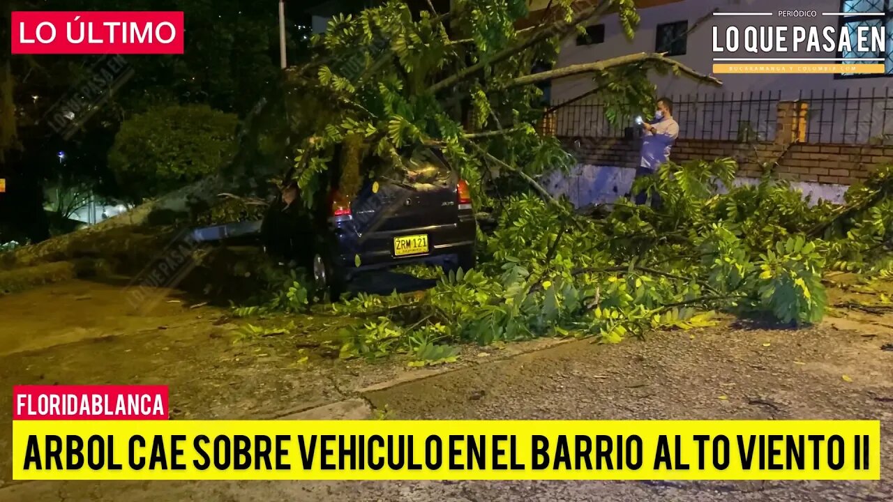 ÁrbolCae sobre un vehículo en el barrio alto bien con dos de Floridablanca￼