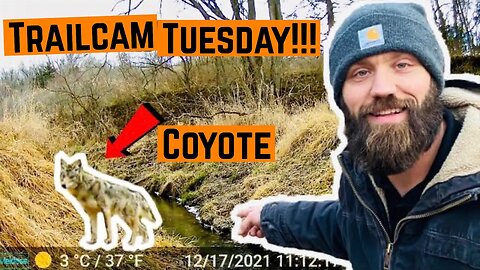 TRAILCAM TUESDAY!!!